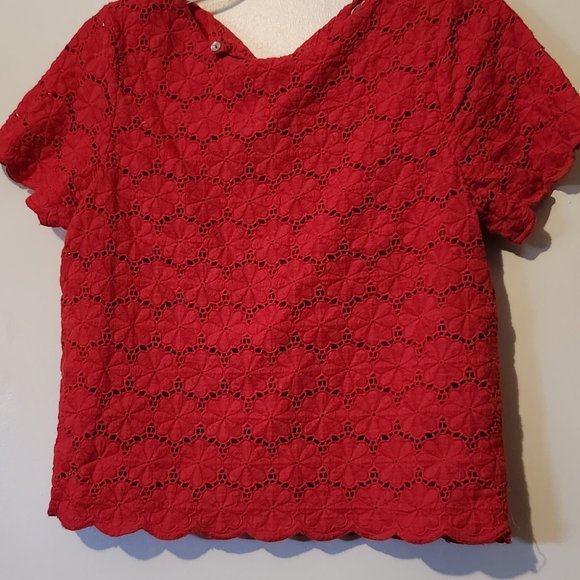 Edision Tops - Red crop blouse